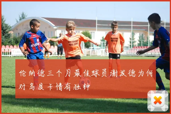 伦纳德三个月最佳球员谢泼德为何对乌度卡情有独钟
