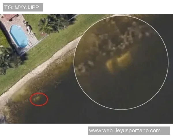 KD坦言曾开小号喷网友原因揭秘不想被发现的真实心声 KD坦言曾开小号喷网友原因揭秘不想被发现的真实心声