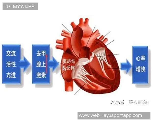 ESPN解析奥斯卡血管迷走神经性晕厥对心率和血压的影响及其机制